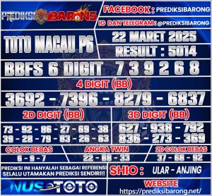 TOTOMACAU P6
