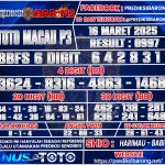 TTM P3