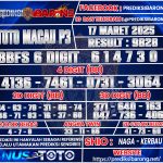 TTM P3