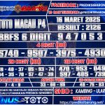 TTM P4