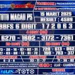 TTM P5
