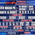 TTM P6