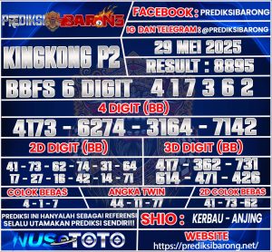 KINGKONG P2