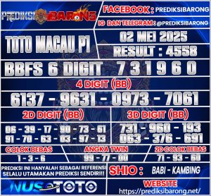 TOTOMACAU P1