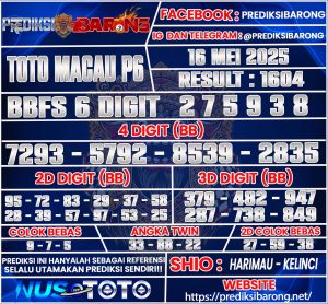 TOTOMACAU P6