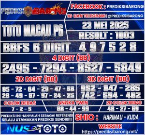 TOTOMACAU P6