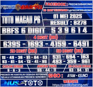 TOTOMACAU P6