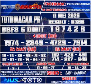 TOTOMACAU P6