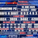 KINGKONG P2