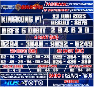 kingkong-p1