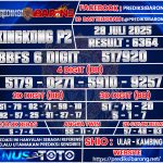 KINGKING-P2