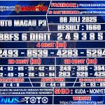 TTM P3