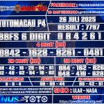 TTM--P4