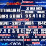 TTM--P4