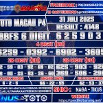 TTM--P4