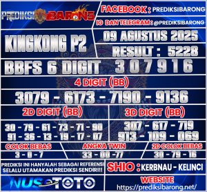 KINGKING-P2