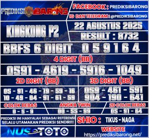 KINGKING-P2v