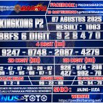KINGKING-P2