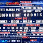 TMM-P1