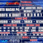 TTM--P4