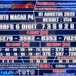 TTM--P4