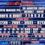 TTM--P4