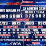 TTM--P4